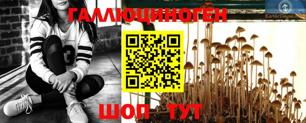 Галлюциногенные грибы ЛСД Владикавказ