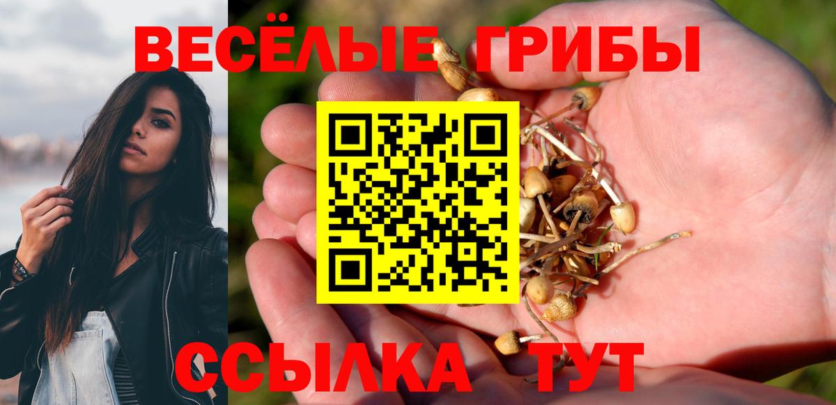 Владикавказ  Галлюциногенные грибы Magic Shrooms  Вход с VPN 